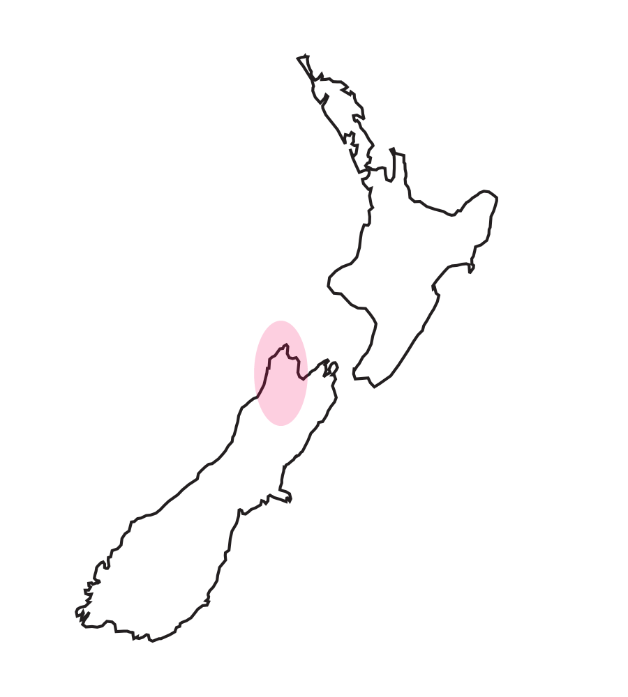 Tasman地区（ネルソン、ゴールデンベイ周辺）