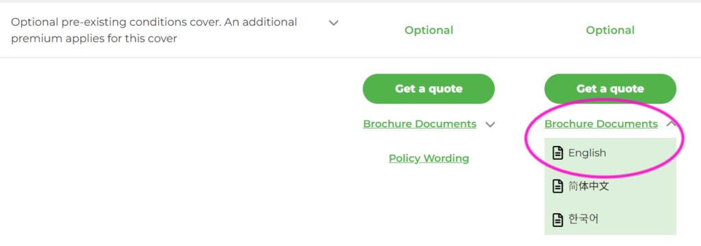 Orbit保険 一般プランの日本語パンフレット
