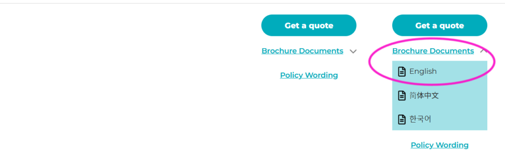 Orbit保険 学生プランの日本語パンフレット